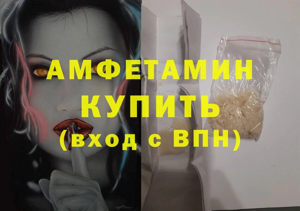 индика Дмитриев
