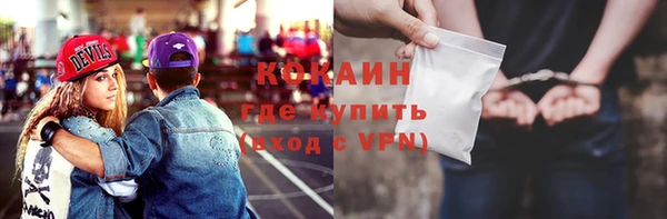 шишки Дмитров