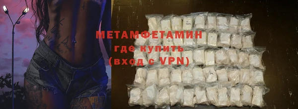 индика Дмитриев