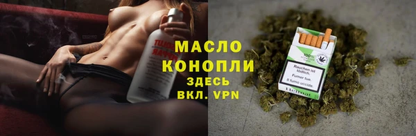 индика Дмитриев