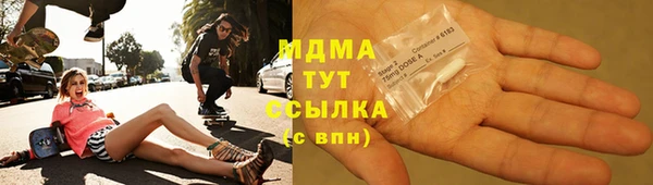 индика Дмитриев