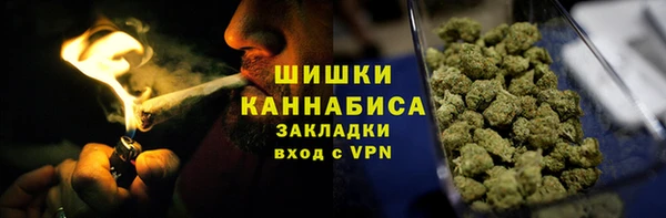 индика Дмитриев