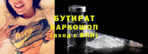 индика Дмитриев