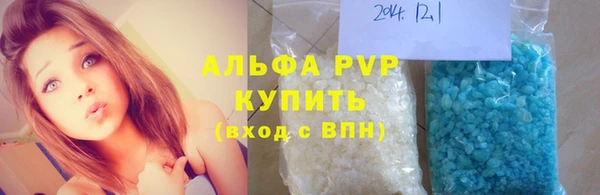 индика Дмитриев