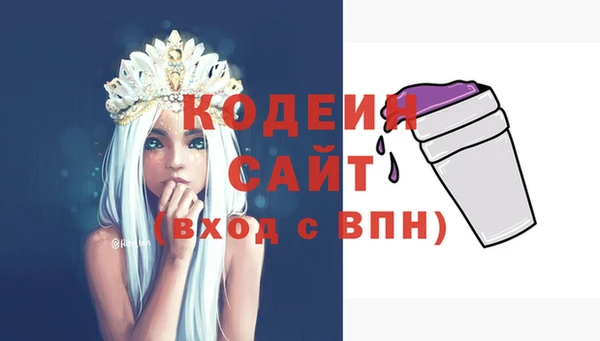 индика Дмитриев