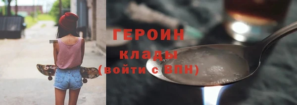 индика Дмитриев