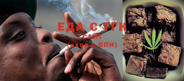 индика Дмитриев