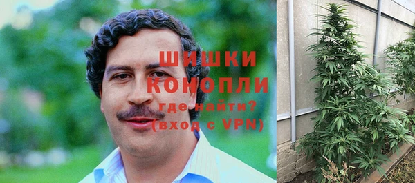 ПСИЛОЦИБИНОВЫЕ ГРИБЫ Дмитровск