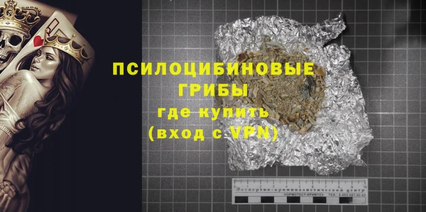 шишки Дмитров