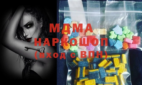 индика Дмитриев
