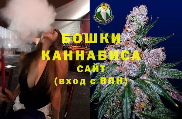 индика Дмитриев