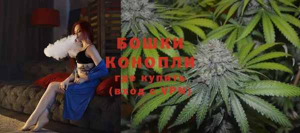 шишки Дмитров