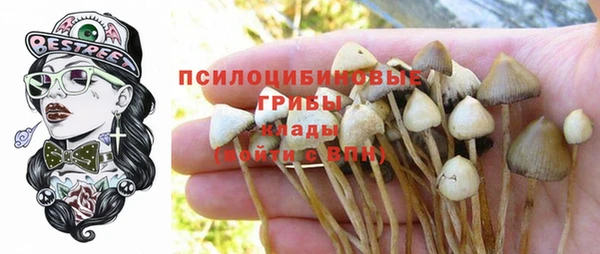 шишки Дмитров