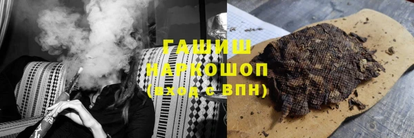 индика Дмитриев