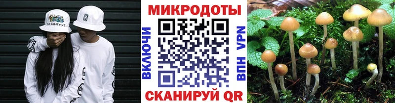 Псилоцибиновые грибы прущие грибы Назарово